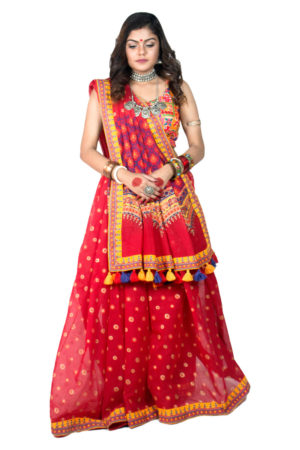 Red Half Silk Printed & Embroidered Saree