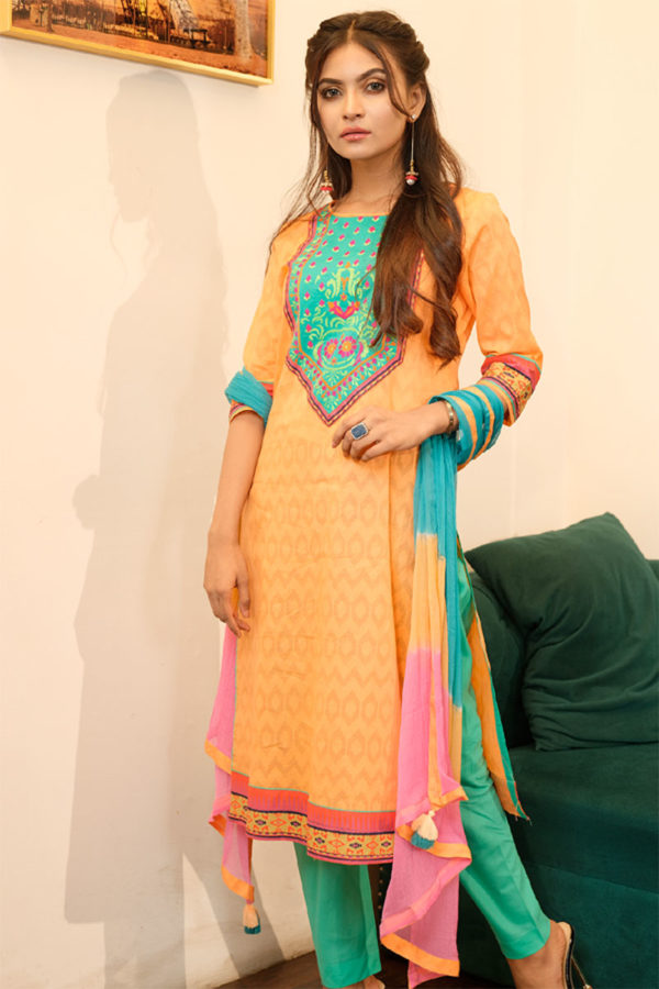 Apricot Printed & Hand Embroidered with Tie-dyed Salwar Kameez Set