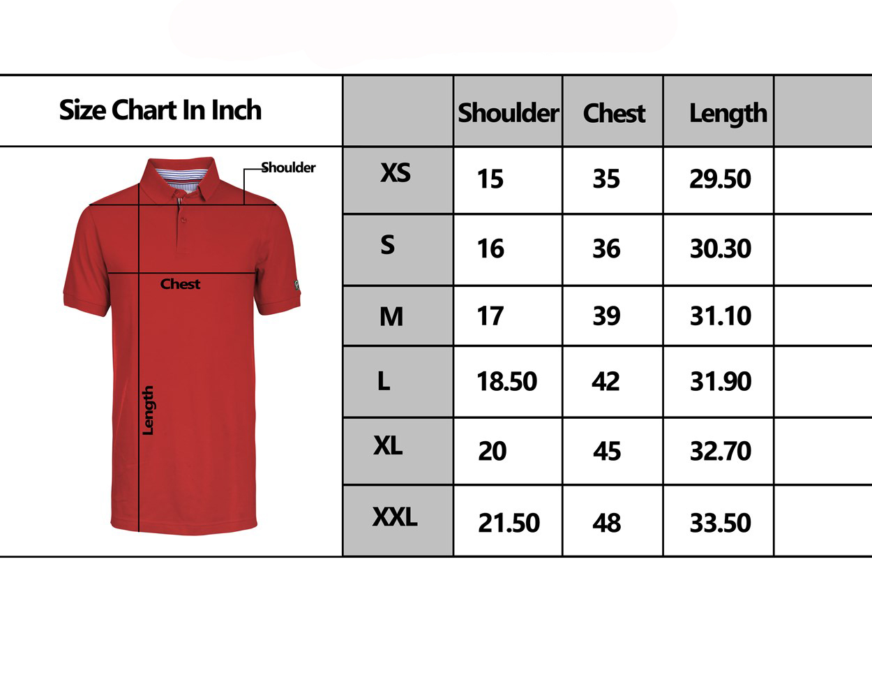 MEN'S POLO SIZE CHART- ROOTS-2227