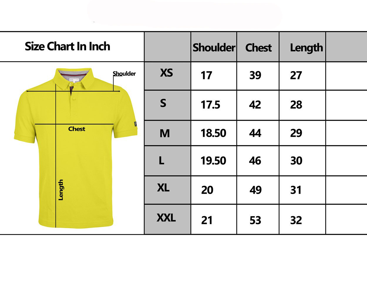 MEN'S POLO SIZE CHART- ROOTS-2228