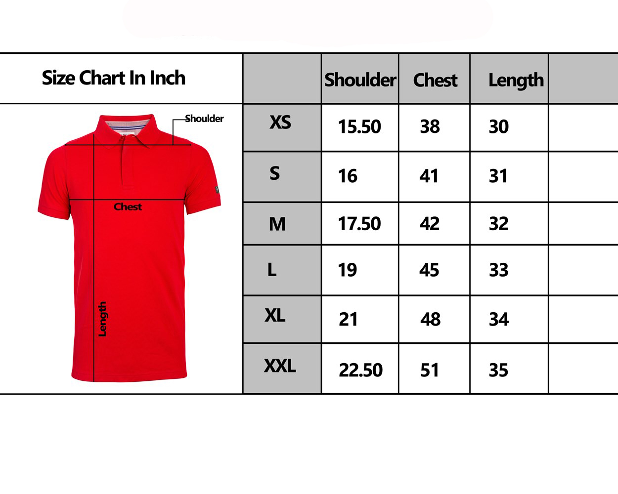 MEN'S POLO SIZE CHART- ROOTS-2244