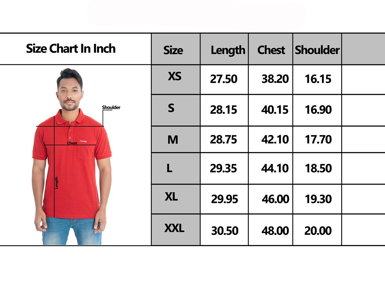 MEN'S POLO SIZE CHART- ROOTS-2255