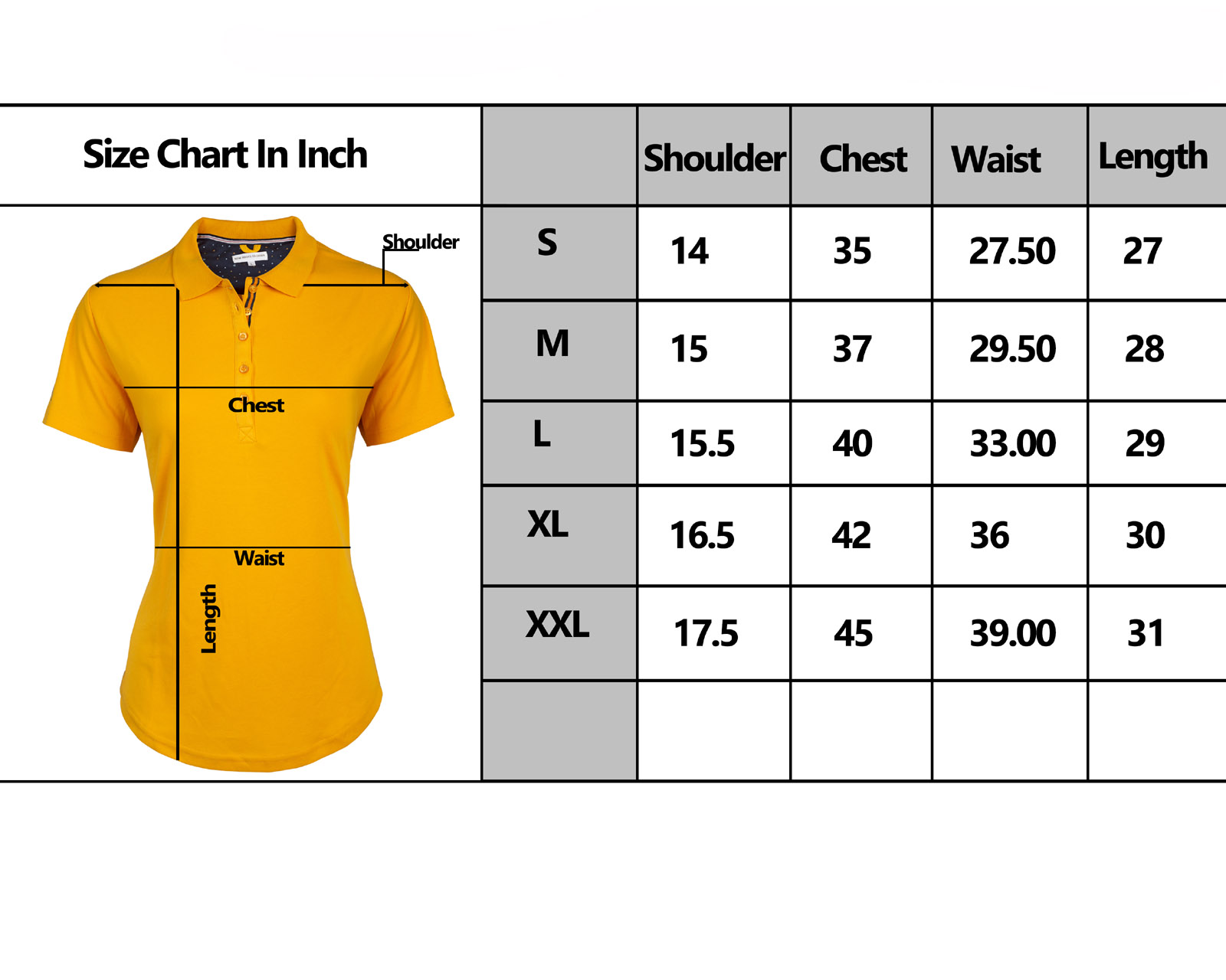 WOMEN'S POLO SIZE CHART- ROOTS-2211